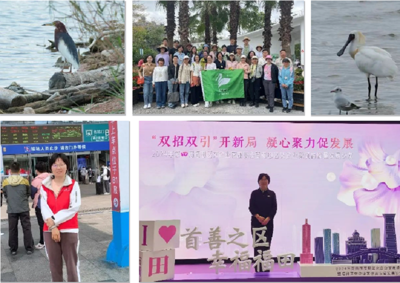 拼图1.png 拼图1.png